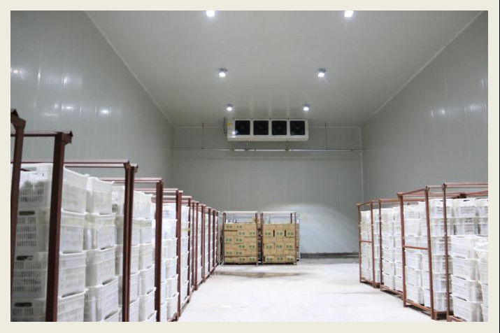 Ruang Penyimpanan Dingin Sayuran Anti Korosi Rentang Suhu Lebar Opsional