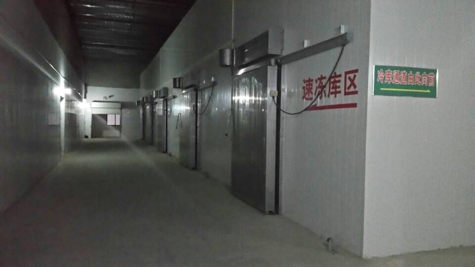 PU Sandwich Panel Prefabrikasi Ruang Dingin Pra Pendinginan Pintu Tipe Sectional