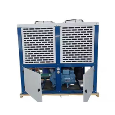 Komersial Unit Freezer Dingin Udara Bitzer Kulkas Otomatis Inti Motor Pompa Pertukaran Panas Kondensasi Rumah Restoran