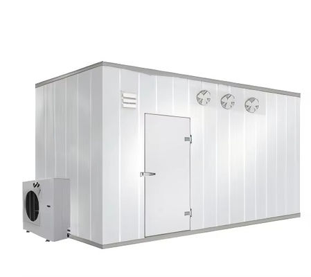 Bitzer kompresor kecil skala besar ruang dingin penyimpanan panel fresh-keeper kontainer hotel medis baru konstruksi pro