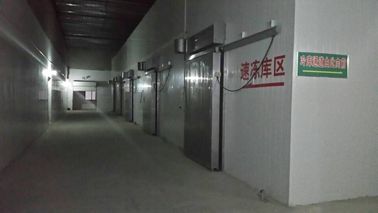 PU Sandwich Panel Prefabrikasi Ruang Dingin Pra Pendinginan Pintu Tipe Sectional